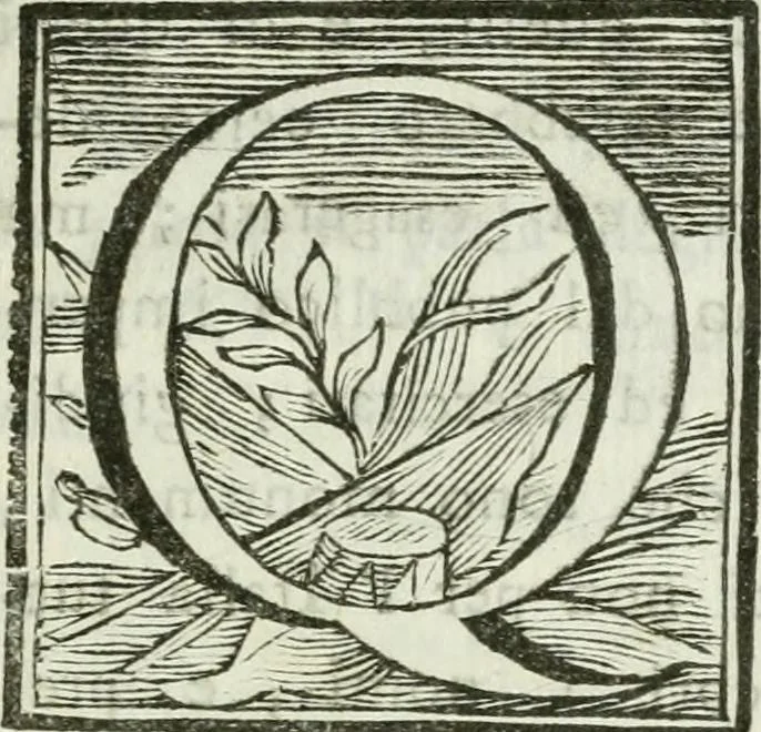 An illustration from Memorie Trevigiane : sulle opere di disegno dal mille e cento al mille ottocento : per servire alla storia delle belle arti d'Italia, 1803, leaf 126