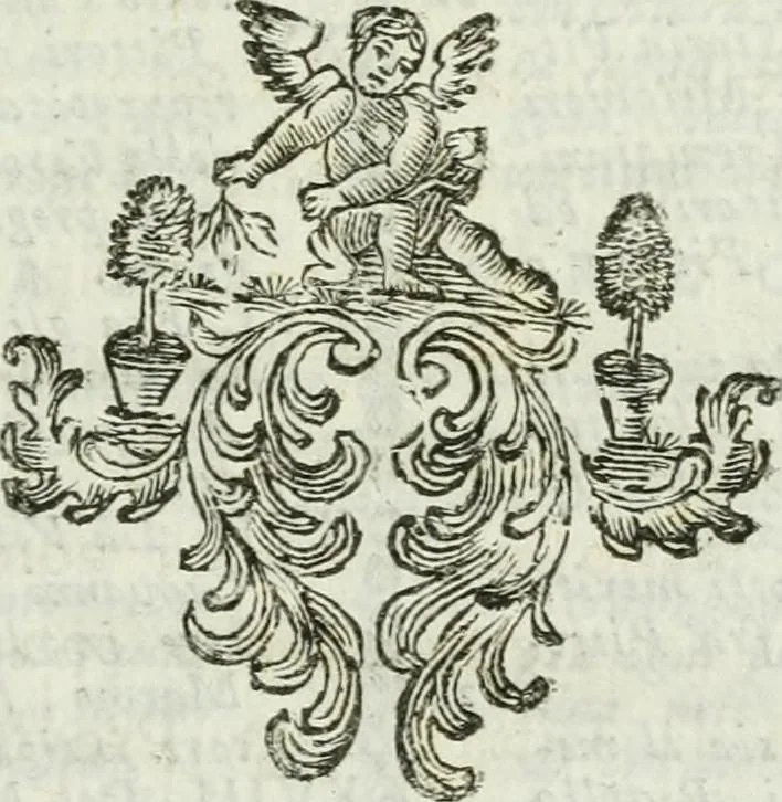 An illustration from Memorie Trevigiane : sulle opere di disegno dal mille e cento al mille ottocento : per servire alla storia delle belle arti d'Italia, 1803, leaf 128