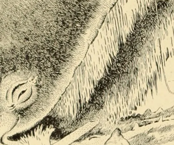 An illustration from Men, women and mirth ..., 1909, leaf 115