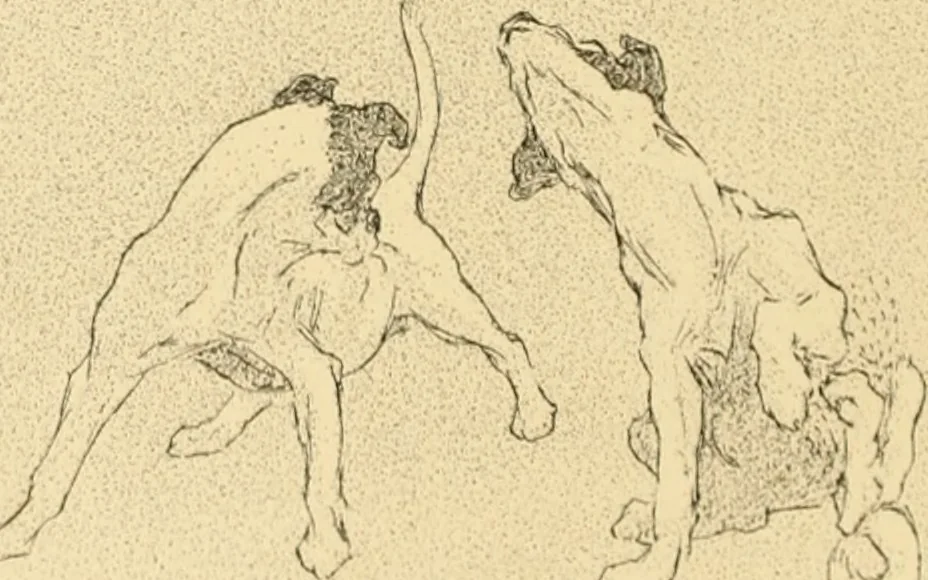 An illustration from Men, women and mirth ..., 1909, leaf 57
