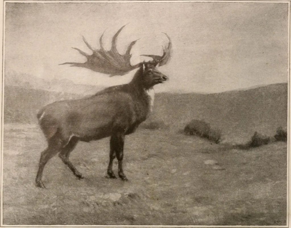 An illustration from Men of the old stone age : their environment, life and art, 1916, leaf 103