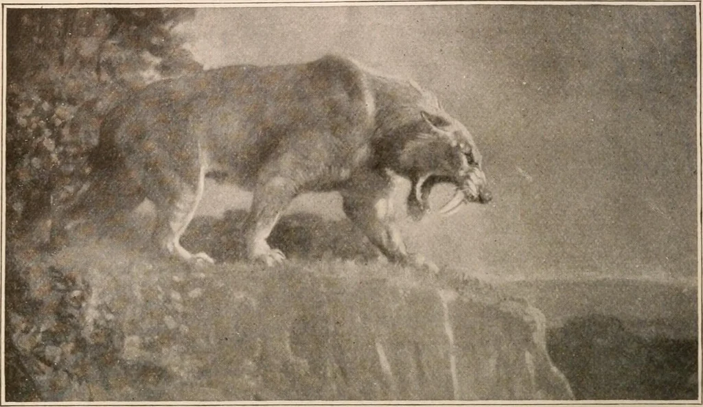 An illustration from Men of the old stone age : their environment, life and art, 1916, leaf 105