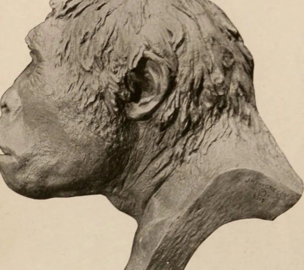 An illustration from Men of the old stone age : their environment, life and art, 1916, leaf 116
