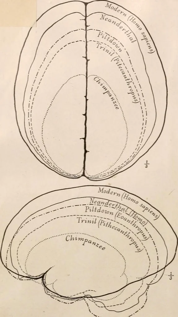 An illustration from Men of the old stone age : their environment, life and art, 1916, leaf 119