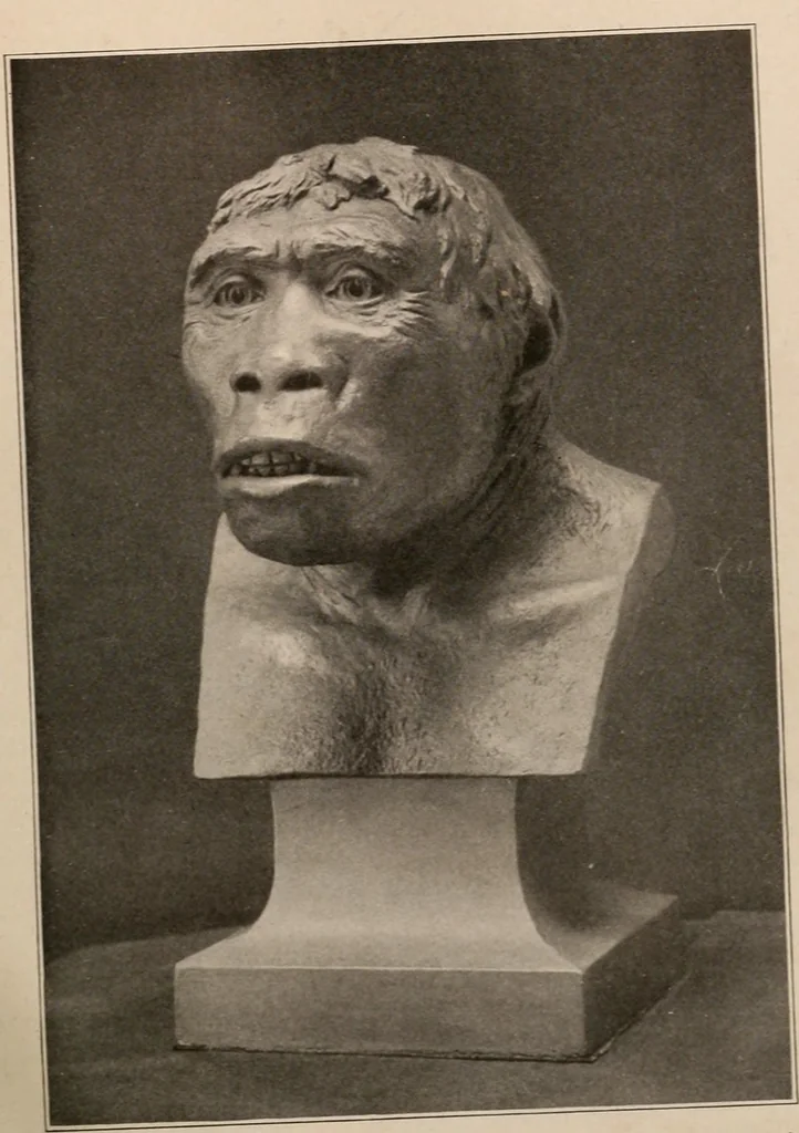 An illustration from Men of the old stone age : their environment, life and art, 1916, leaf 122