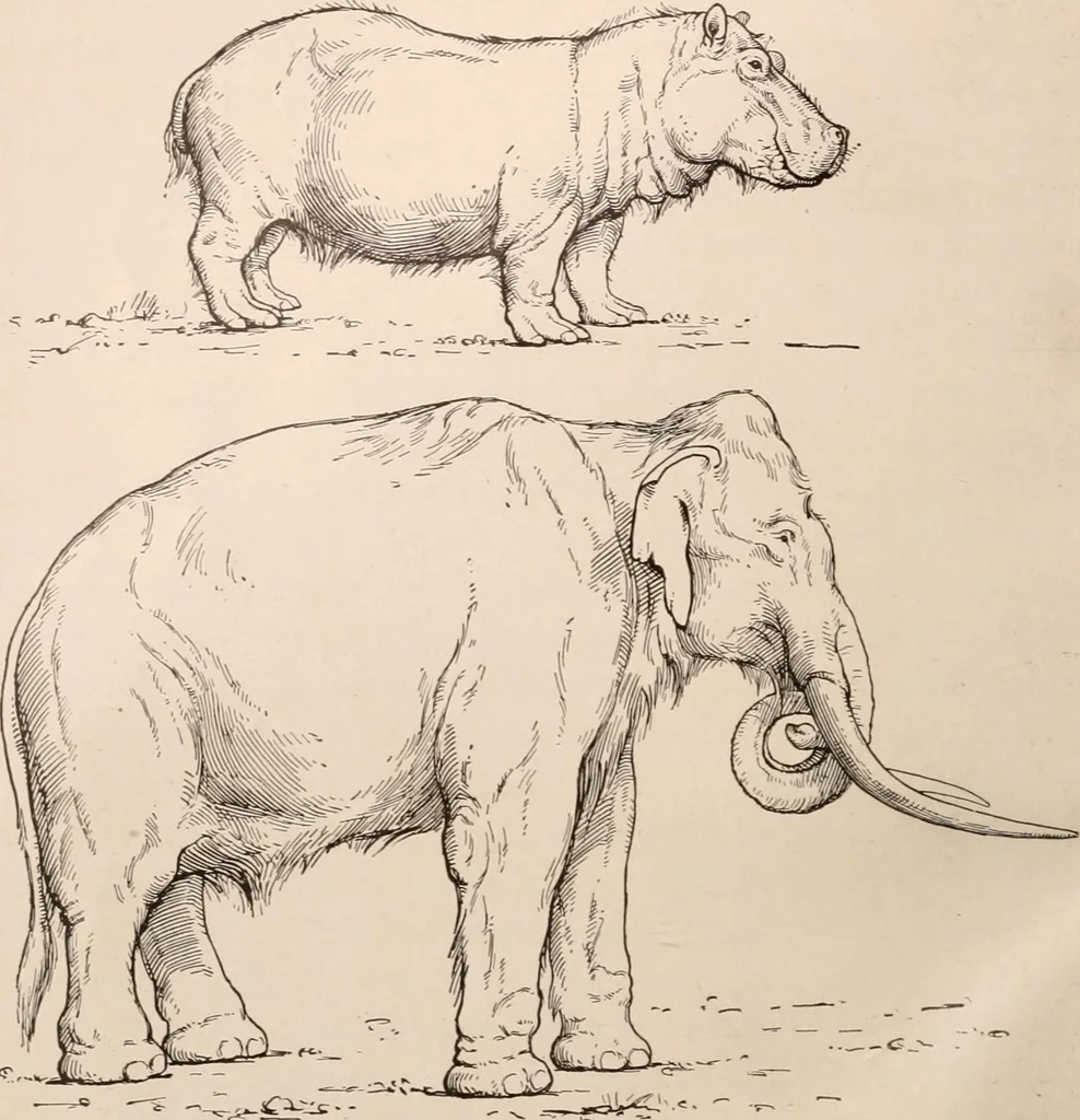 An illustration from Men of the old stone age : their environment, life and art, 1916, leaf 127