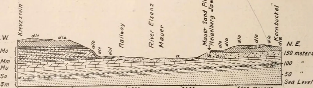 An illustration from Men of the old stone age : their environment, life and art, 1916, leaf 131