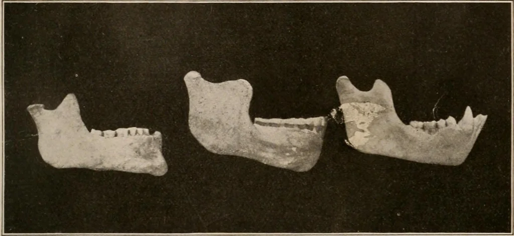 An illustration from Men of the old stone age : their environment, life and art, 1916, leaf 134