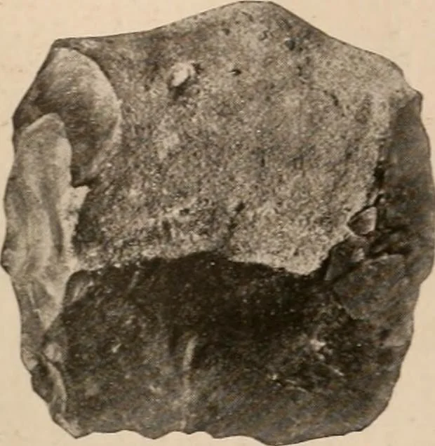 An illustration from Men of the old stone age : their environment, life and art, 1916, leaf 156