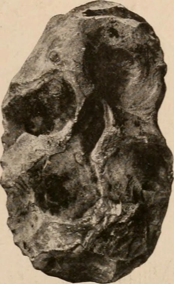 An illustration from Men of the old stone age : their environment, life and art, 1916, leaf 156