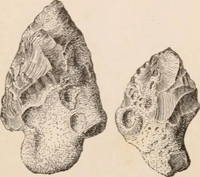 An illustration from Men of the old stone age : their environment, life and art, 1916, leaf 163