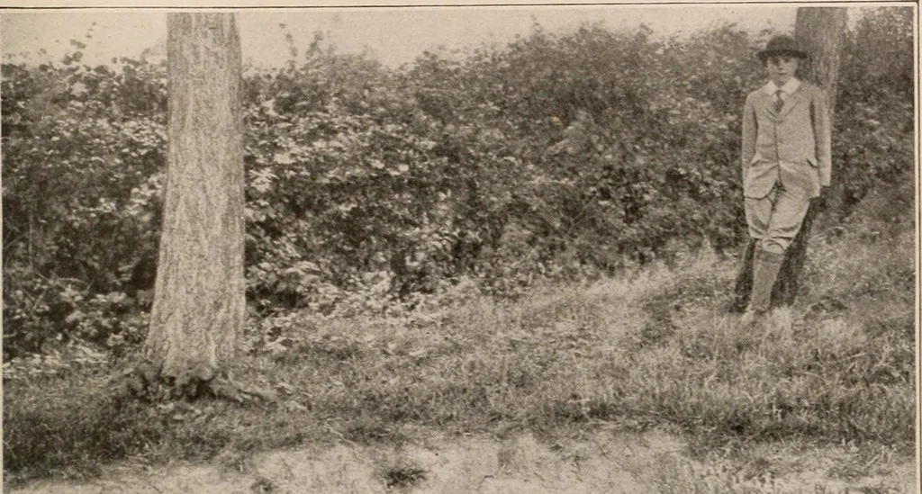 An illustration from Men of the old stone age : their environment, life and art, 1916, leaf 166