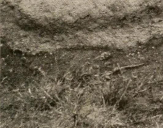 An illustration from Men of the old stone age : their environment, life and art, 1916, leaf 166