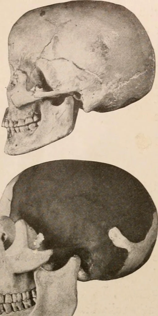 An illustration from Men of the old stone age : their environment, life and art, 1916, leaf 171