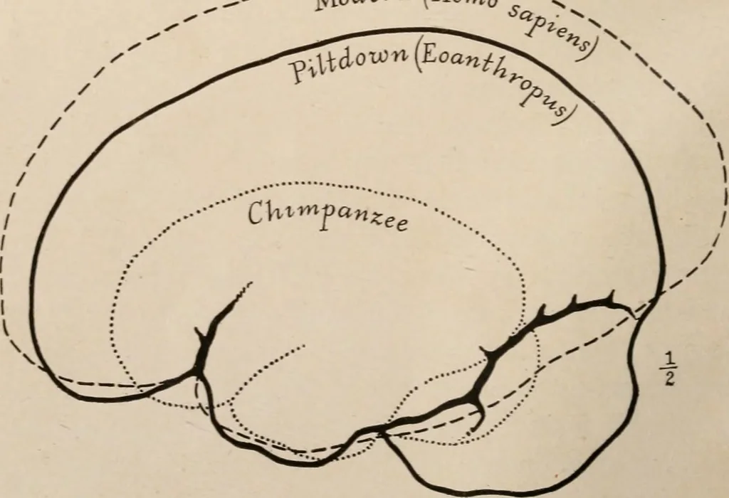 An illustration from Men of the old stone age : their environment, life and art, 1916, leaf 175