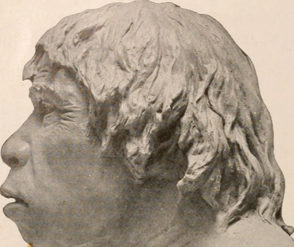 An illustration from Men of the old stone age : their environment, life and art, 1916, leaf 177
