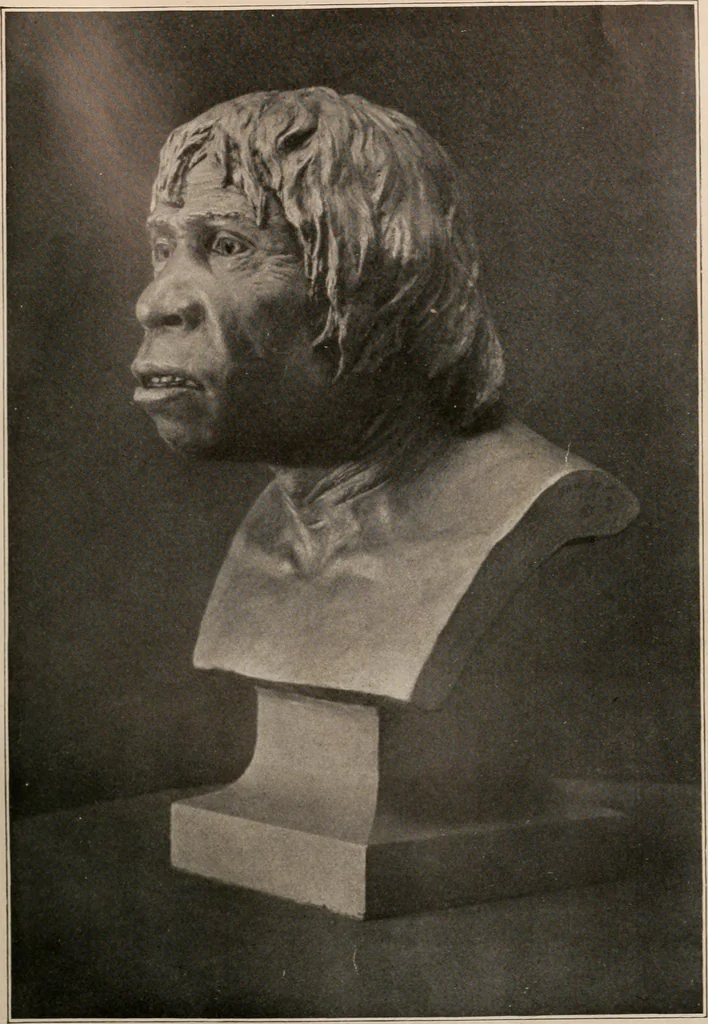 An illustration from Men of the old stone age : their environment, life and art, 1916, leaf 180