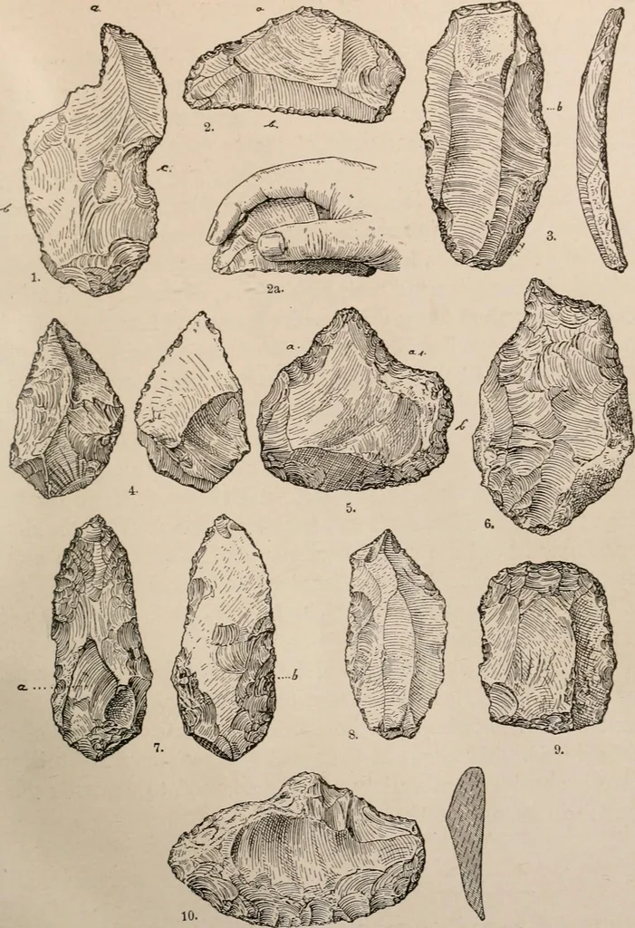 An illustration from Men of the old stone age : their environment, life and art, 1916, leaf 188