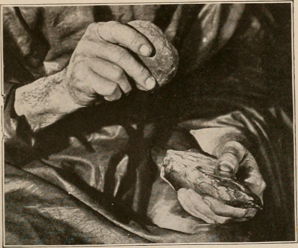 An illustration from Men of the old stone age : their environment, life and art, 1916, leaf 204