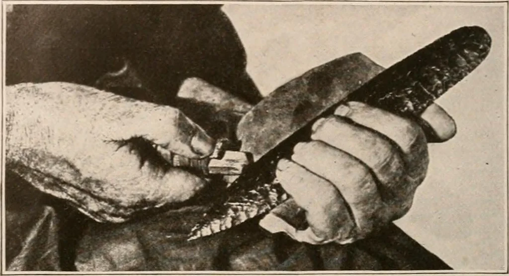 An illustration from Men of the old stone age : their environment, life and art, 1916, leaf 205