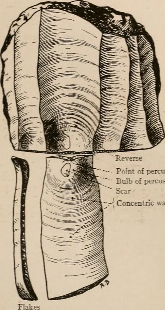 An illustration from Men of the old stone age : their environment, life and art, 1916, leaf 206
