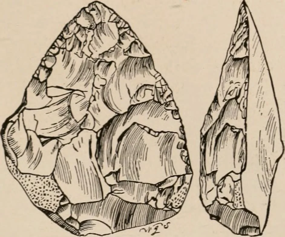 An illustration from Men of the old stone age : their environment, life and art, 1916, leaf 214