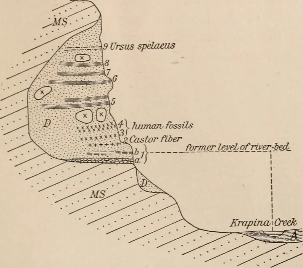 An illustration from Men of the old stone age : their environment, life and art, 1916, leaf 218
