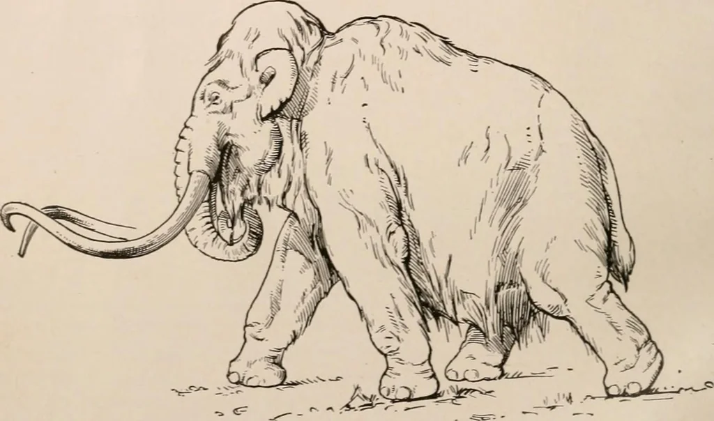 An illustration from Men of the old stone age : their environment, life and art, 1916, leaf 225