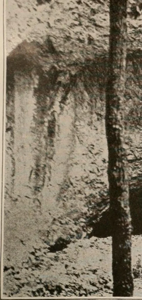 An illustration from Men of the old stone age : their environment, life and art, 1916, leaf 236