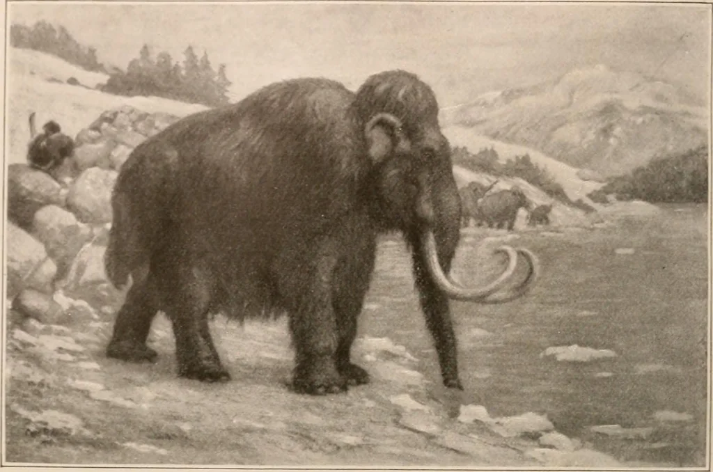 An illustration from Men of the old stone age : their environment, life and art, 1916, leaf 243