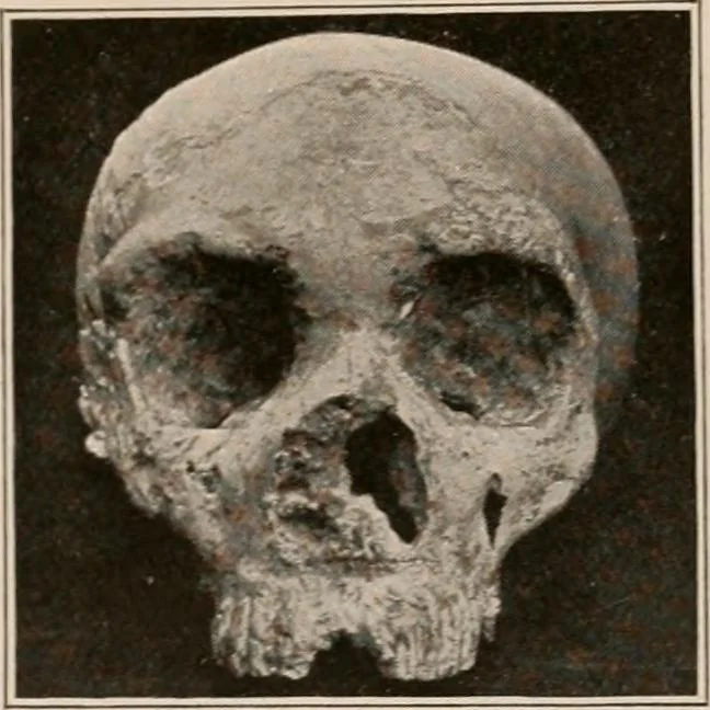 An illustration from Men of the old stone age : their environment, life and art, 1916, leaf 250