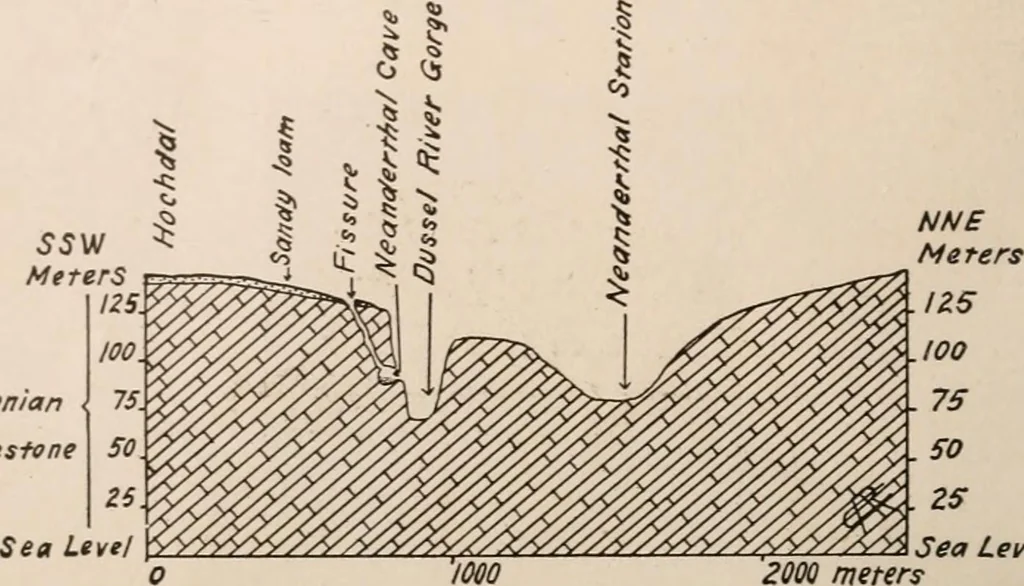 An illustration from Men of the old stone age : their environment, life and art, 1916, leaf 251