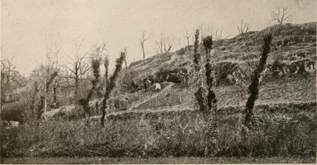 An illustration from Men of the old stone age : their environment, life and art, 1916, leaf 257