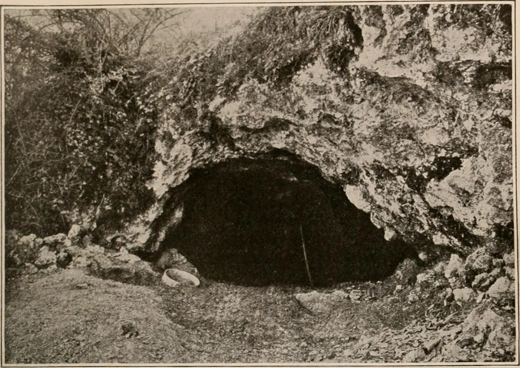 An illustration from Men of the old stone age : their environment, life and art, 1916, leaf 258