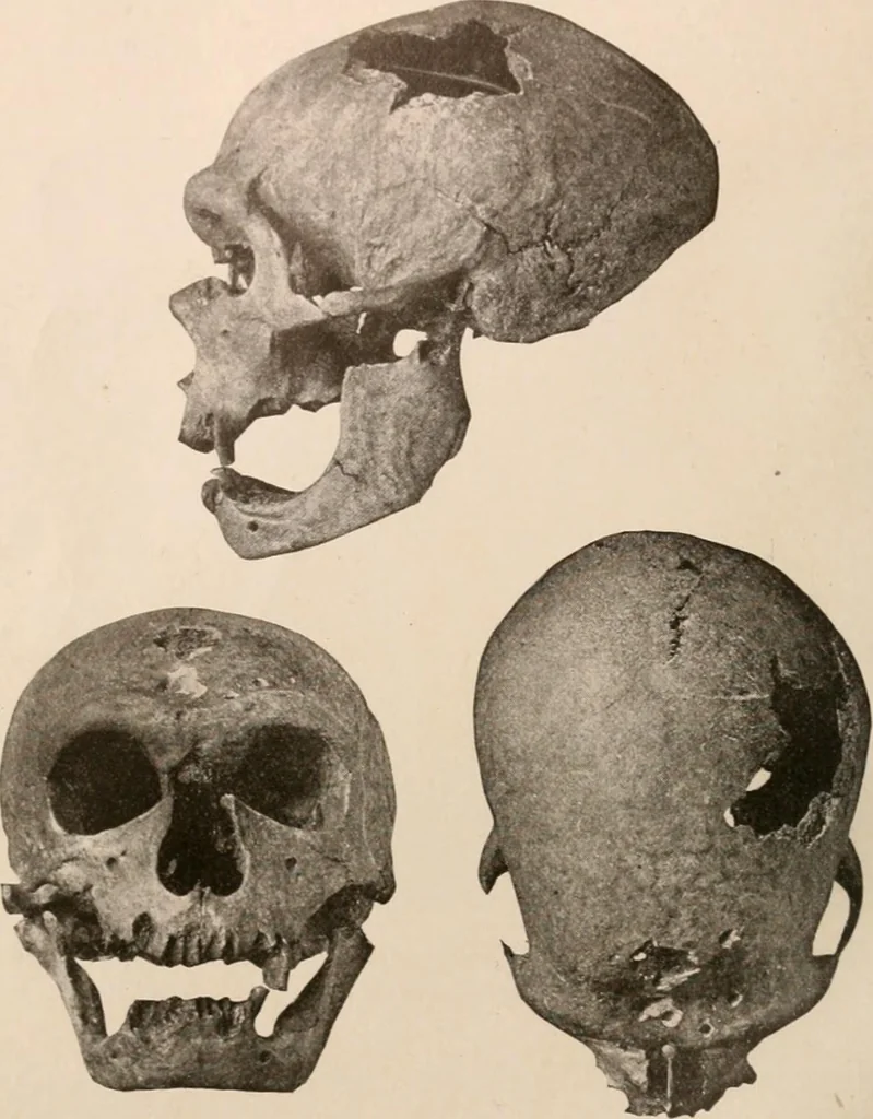 An illustration from Men of the old stone age : their environment, life and art, 1916, leaf 259