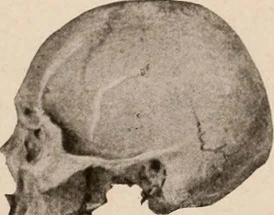 An illustration from Men of the old stone age : their environment, life and art, 1916, leaf 262