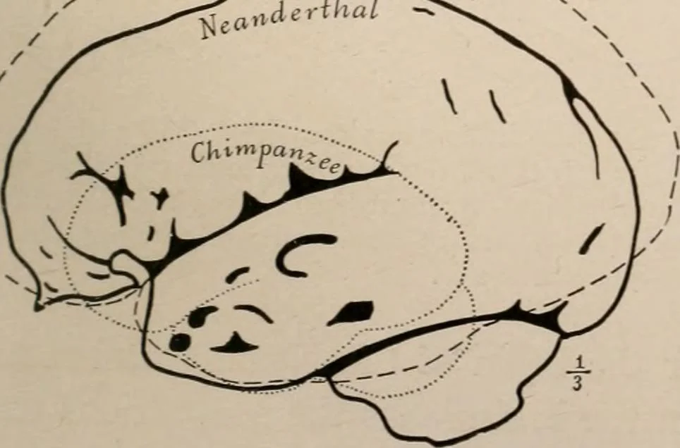 An illustration from Men of the old stone age : their environment, life and art, 1916, leaf 270