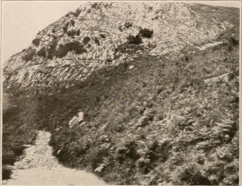 An illustration from Men of the old stone age : their environment, life and art, 1916, leaf 281