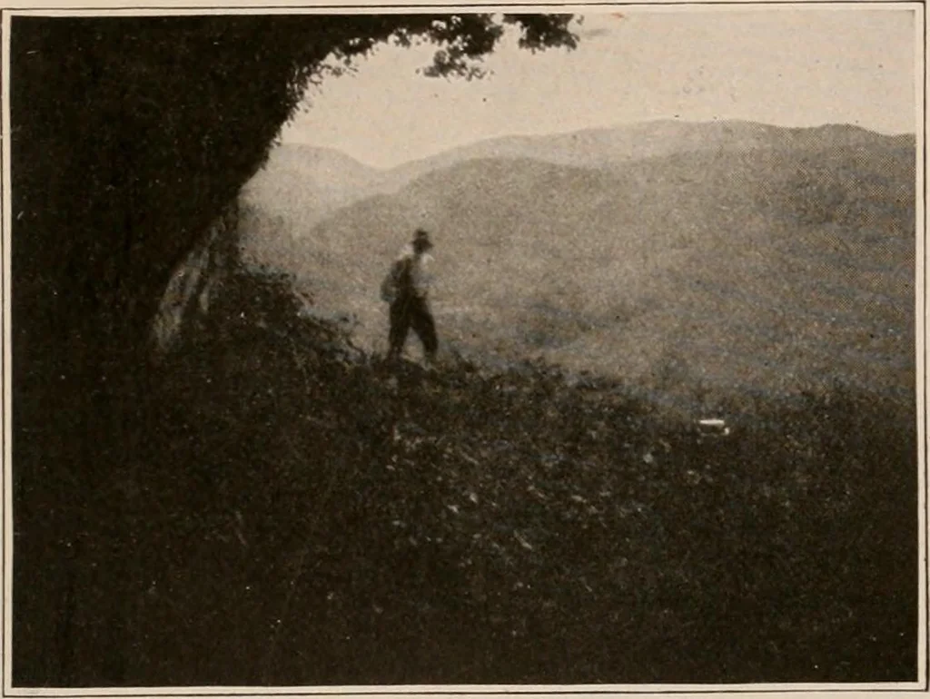 An illustration from Men of the old stone age : their environment, life and art, 1916, leaf 282