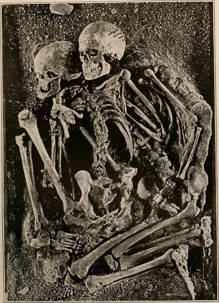 An illustration from Men of the old stone age : their environment, life and art, 1916, leaf 298