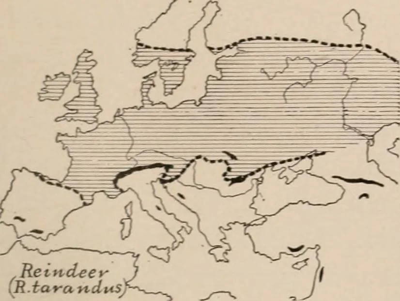 An illustration from Men of the old stone age : their environment, life and art, 1916, leaf 316