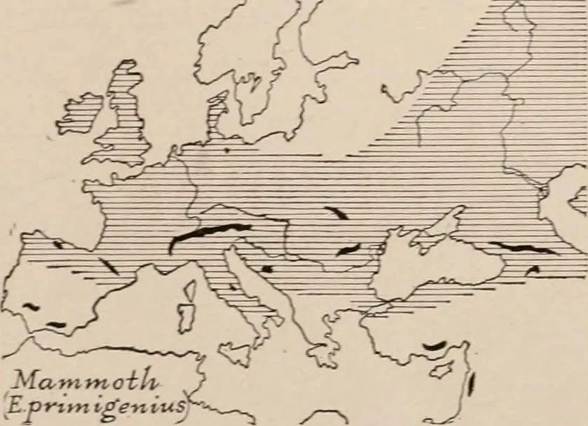An illustration from Men of the old stone age : their environment, life and art, 1916, leaf 316