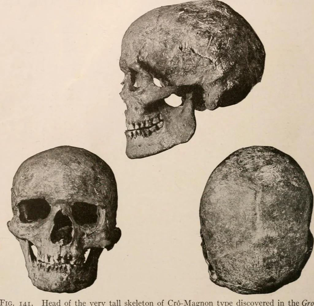 An illustration from Men of the old stone age : their environment, life and art, 1916, leaf 323