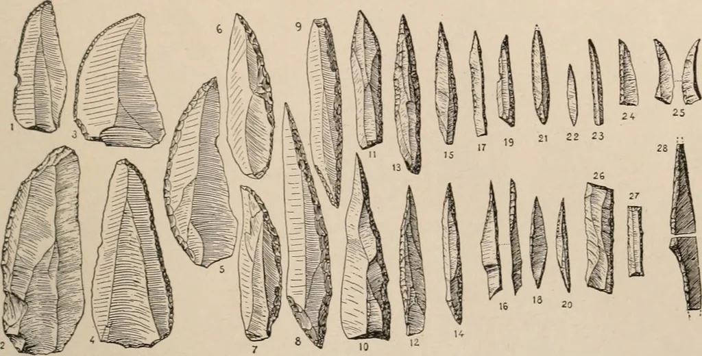 An illustration from Men of the old stone age : their environment, life and art, 1916, leaf 342