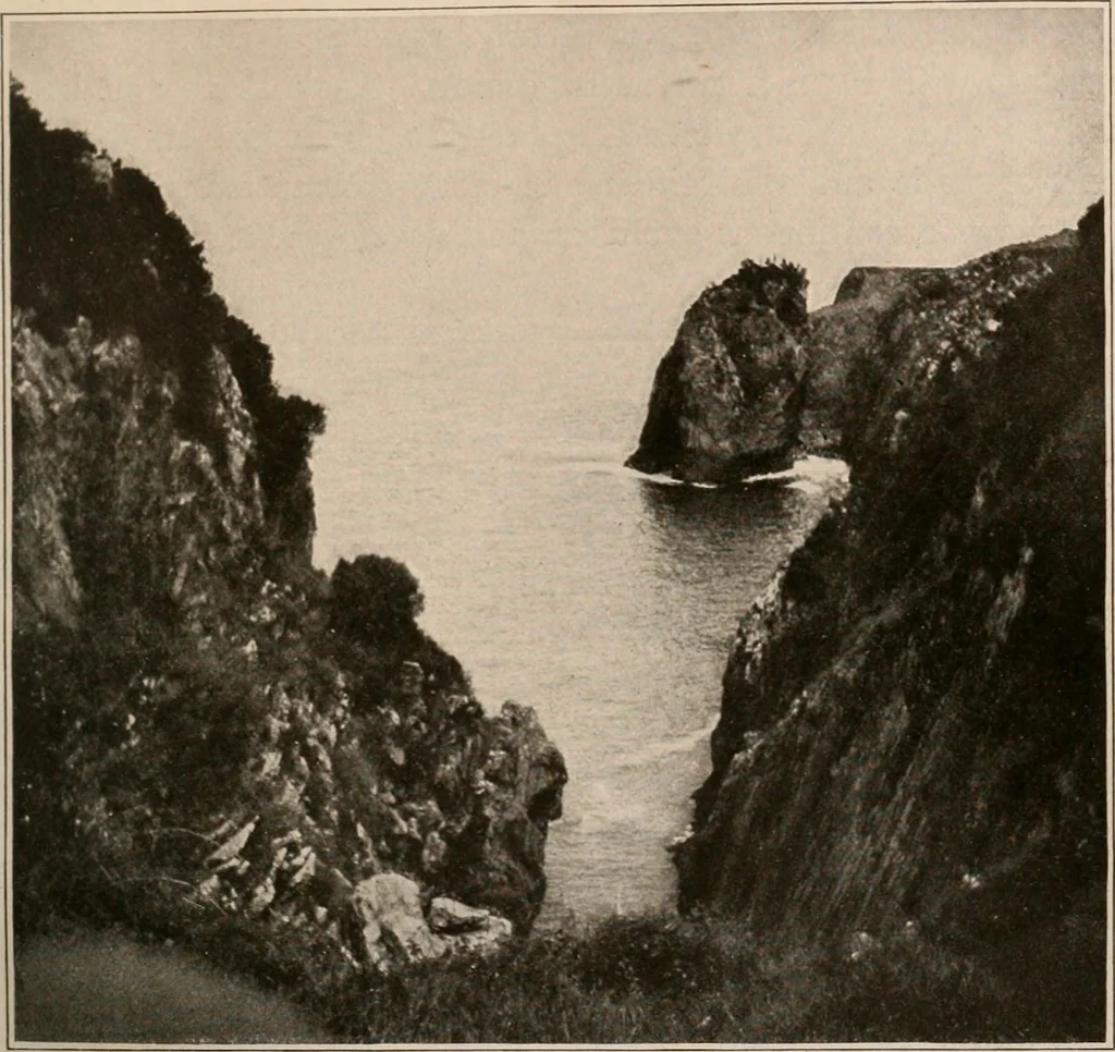 An illustration from Men of the old stone age : their environment, life and art, 1916, leaf 346