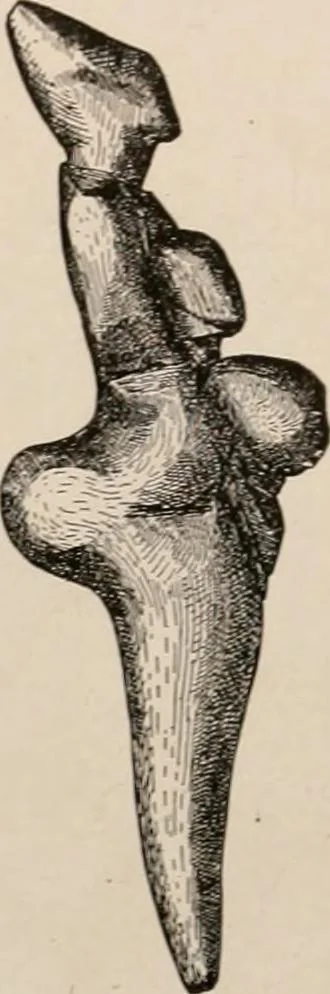 An illustration from Men of the old stone age : their environment, life and art, 1916, leaf 352
