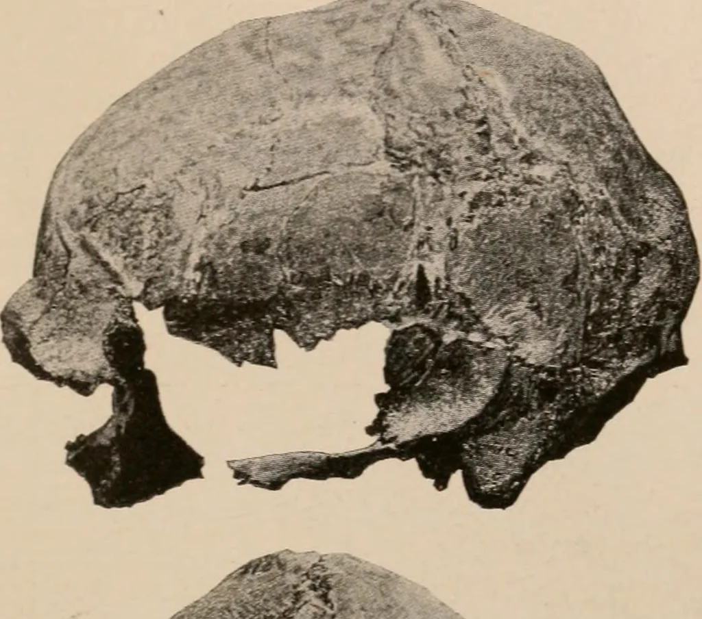 An illustration from Men of the old stone age : their environment, life and art, 1916, leaf 366