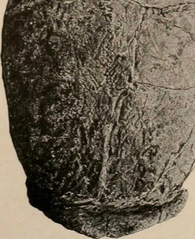 An illustration from Men of the old stone age : their environment, life and art, 1916, leaf 366