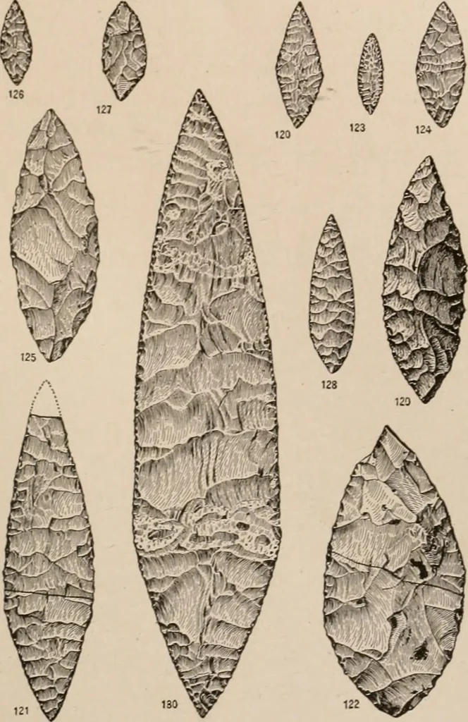 An illustration from Men of the old stone age : their environment, life and art, 1916, leaf 370