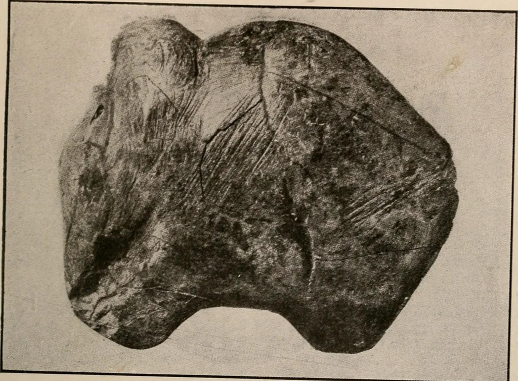 An illustration from Men of the old stone age : their environment, life and art, 1916, leaf 380